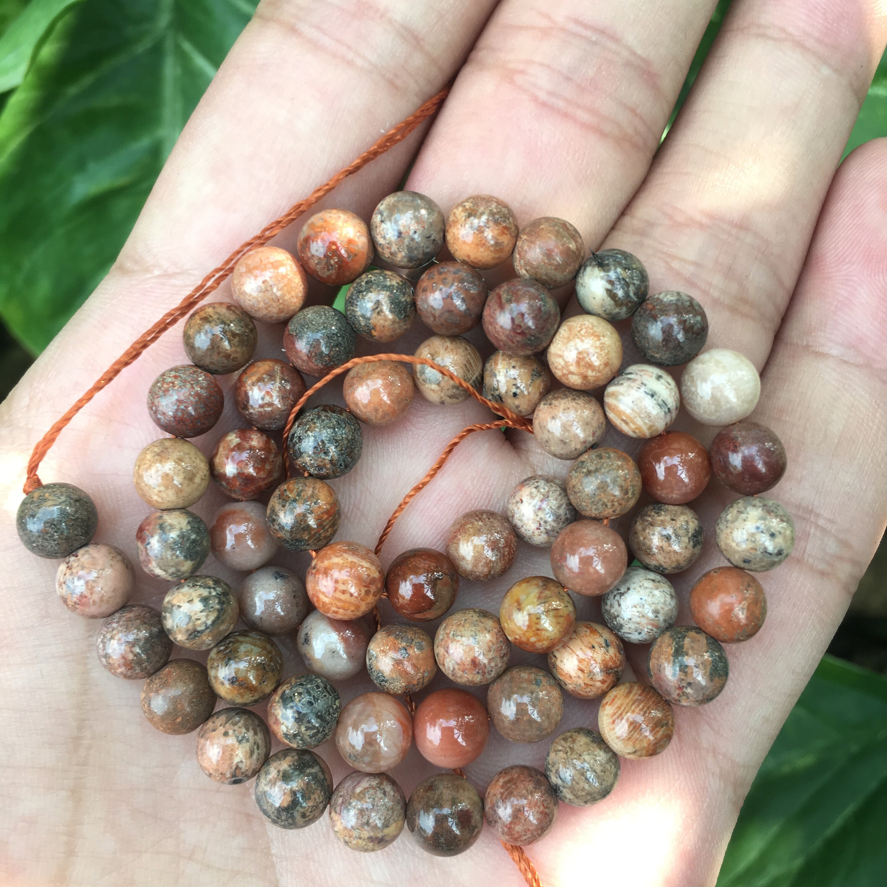 7mm Full Strand red Coral Jade Fossil Loose Beads coral | Etsy
