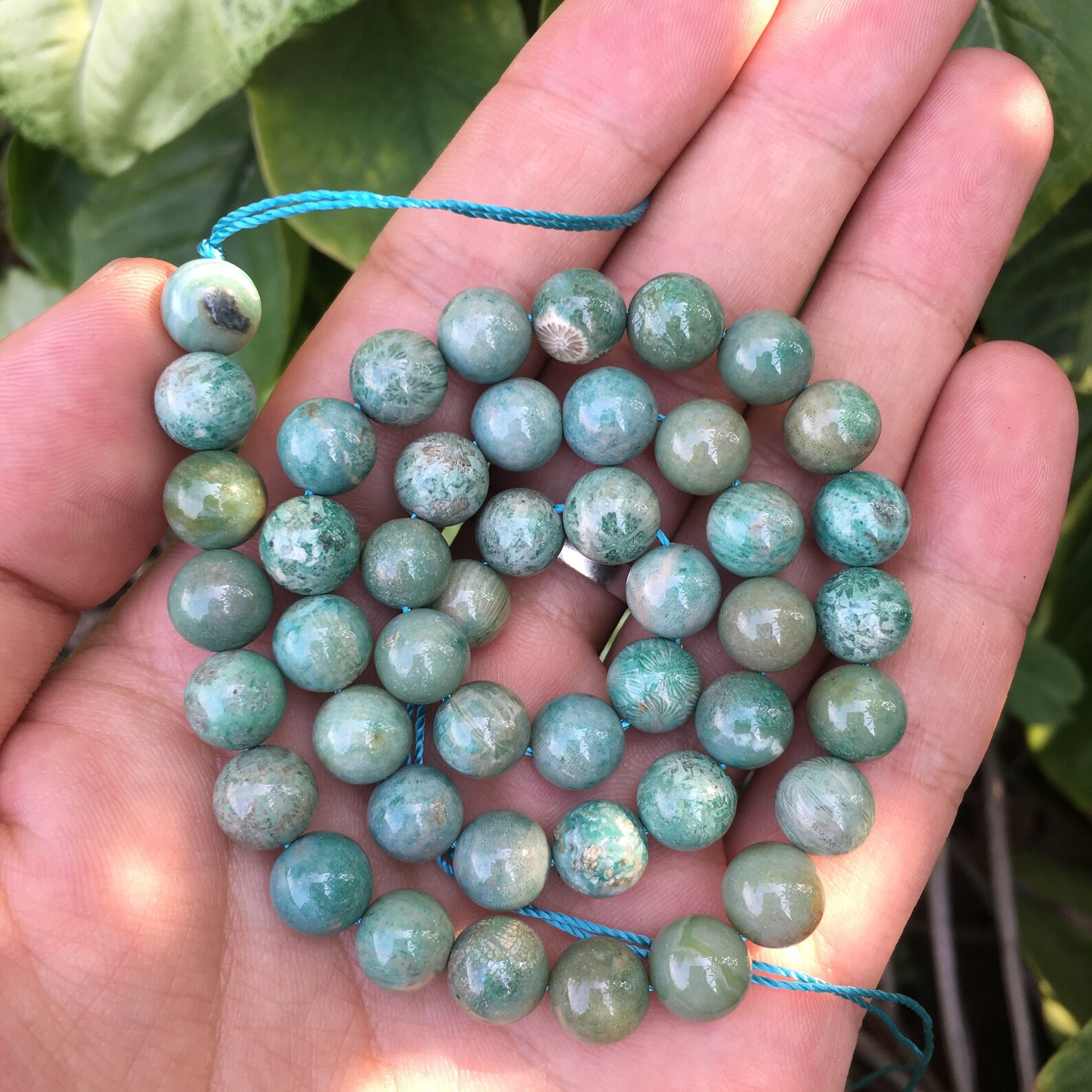 8mm Coral Fossil Beads Blue Ballfossilized Coralcoral Etsy