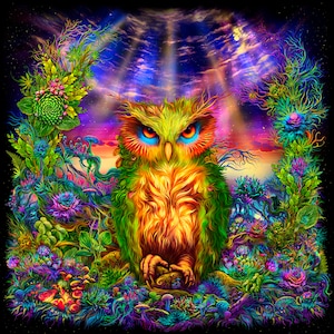Psy 背景「フクロウの表情」UV アクティブ ブラックライト タペストリー 蛍光サイケデリック アート