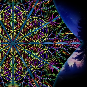 Canopy blacklight UV active Flower of life ceiling decor lycra psytrance party festival psychedelic decoration trippy room
