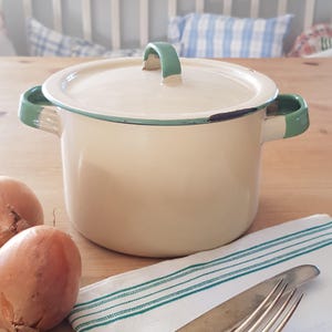 Può includere: Una pentola di smalto bianco con un bordo e un manico verdi. La pentola ha un coperchio ed è appoggiata su un tavolo di legno con cipolle e un asciugamano a righe bianche e verdi.