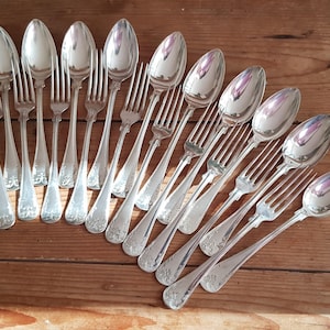 Könnte beinhalten: Eine Sammlung von silberfarbenem Metallbesteck, bestehend aus mehreren Gabeln und Löffeln. Jedes Teil hat eine polierte, reflektierende Oberfläche und ein dekoratives, geprägtes Blumenmuster am Griff, angeordnet in einer Diagonale.