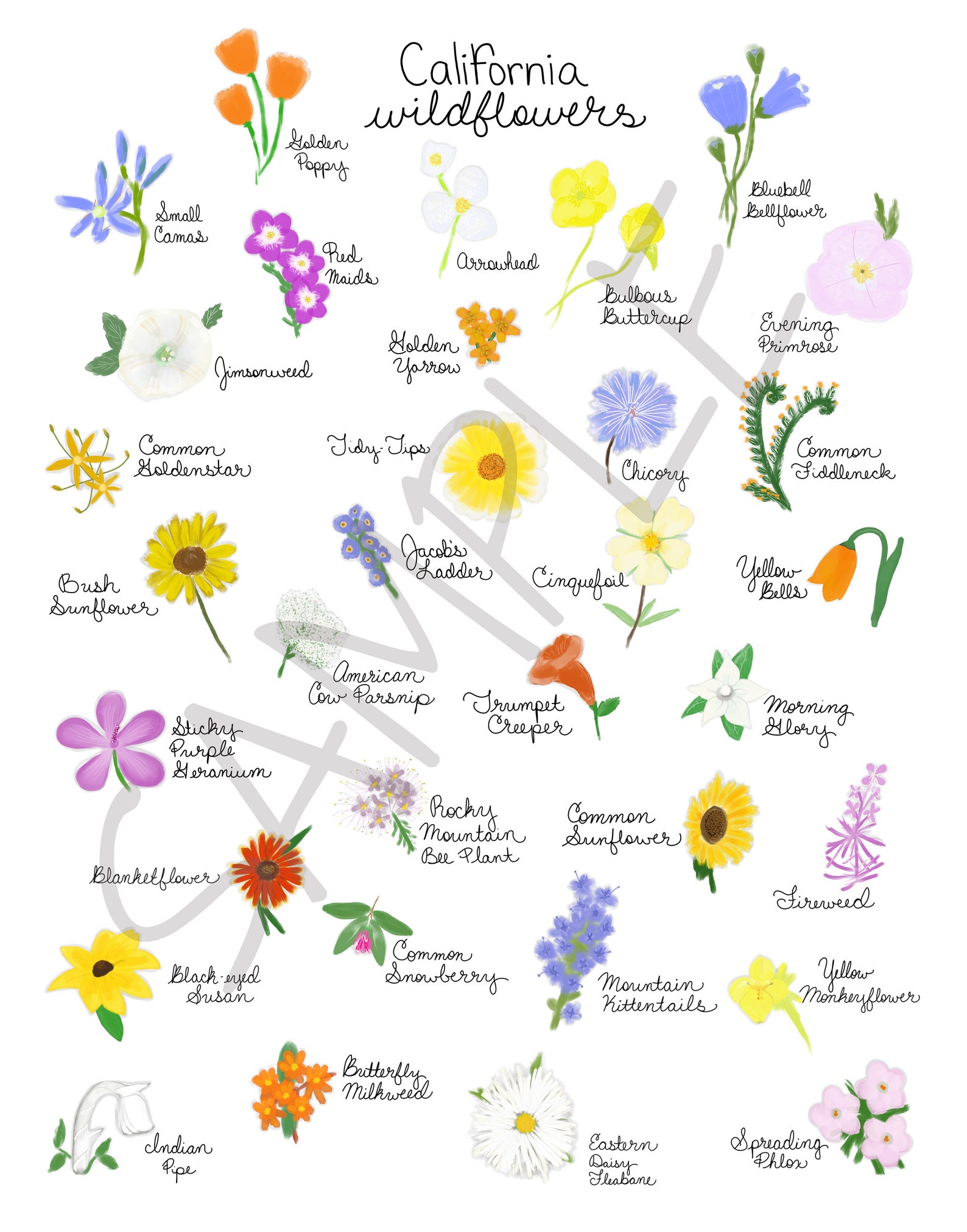 California Wildflowers Art Print Etsy