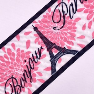 3 In Grosgrain Ribbons - Grosgrain Ribbon for bows - Bow Supplies - Cartoon ribbon - Paris