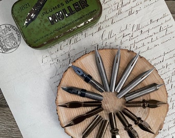 Boîte vintage avec 15 plumes de stylo pour la calligraphie ou le dessin.