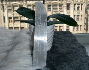 May include: A white selenite wand with a natural, striated texture, standing upright in a white ceramic pot. A potted orchid with purple flowers is in the background.