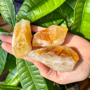 Small Raw Citrine Quartz | Raw Citrine Healing Crystal | Crystal Point | Citrine Crystal | Decor Crystal | Raw Crystals | Brazilian Citrine