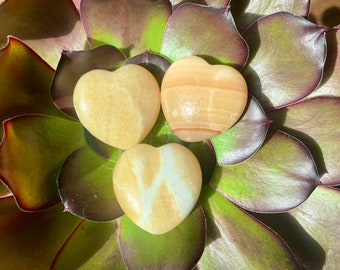 May include: Three heart-shaped polished stones in shades of yellow and orange, arranged on a green and brown succulent plant.