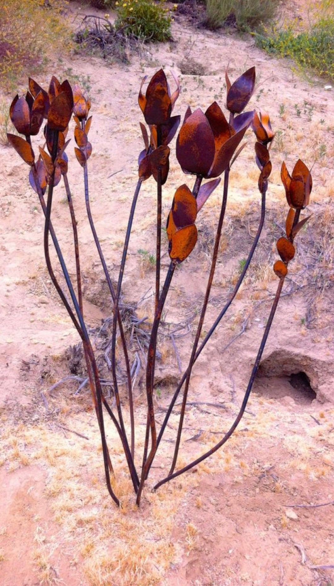 Ocotillo Metal Plant Metal Garden Art Etsy