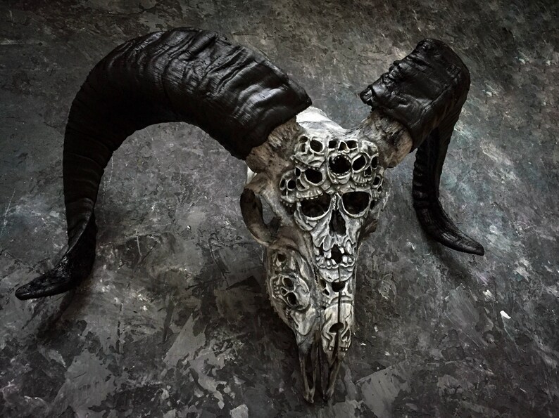 Докс фото череп с рогами Real carved ram skull Etsy Швеция