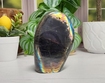 Spectrolite Free Form - 1068 - Vibrant Rainbow Flash, Intense Colors, Deep Black Stone, Feldspar, Labradorite, Stone of Transformation