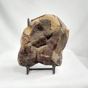 Large Septarian Section: Dragon Stone Geode with Druzy
