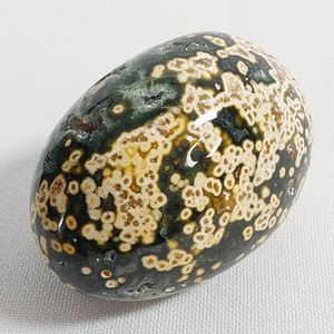 Ocean Jasper Palm Stone - 385 - Nurturing Crystal (2oz)
