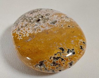 Quality Veinless Ocean Jasper Palm Stone - 627 - Ocean