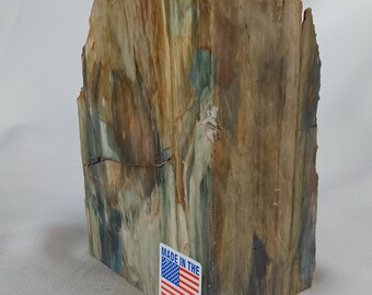 Petrified Bogwood - 031 - Rare Petrified Wood, Miocene