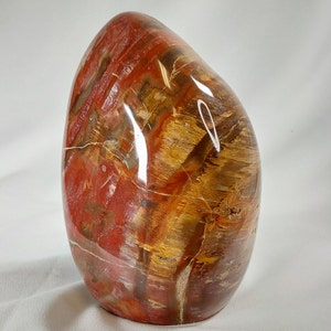 Large Petrified Wood Carving: Rare Stone of Transformation