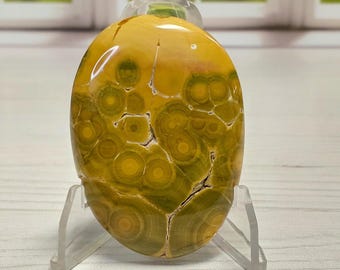Golden Kabamby Ocean Jasper Palm Stone - 507 -Collector's Palm Stone, Kabamby, Green and Gold Colors, Has Some Red Color, Quality