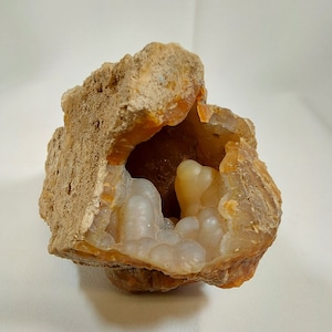 Large Agatized Coral - 001 - Large, Water Fossils, Fossils, Fast Free Shipping, Gift Ideas, River Fossils, Large Fossils, Coral Fossils