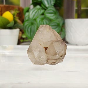May include: A cluster of translucent, light brown quartz crystals. The crystals have a faceted, geometric shape and a slightly rough texture. The quartz is displayed on a white surface, with green plants and a white pot in the background.