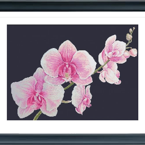 Orchid Cross Stitch Pattern 2 Instant PDF Download Flowers - Etsy
