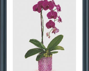 Orchid Cross Stitch Pattern, Home Plant cross stitch, Purple Orchid, Orchid in Pot Cross Stitch, Flowers Cross Stitch, Pdf, Instant Download