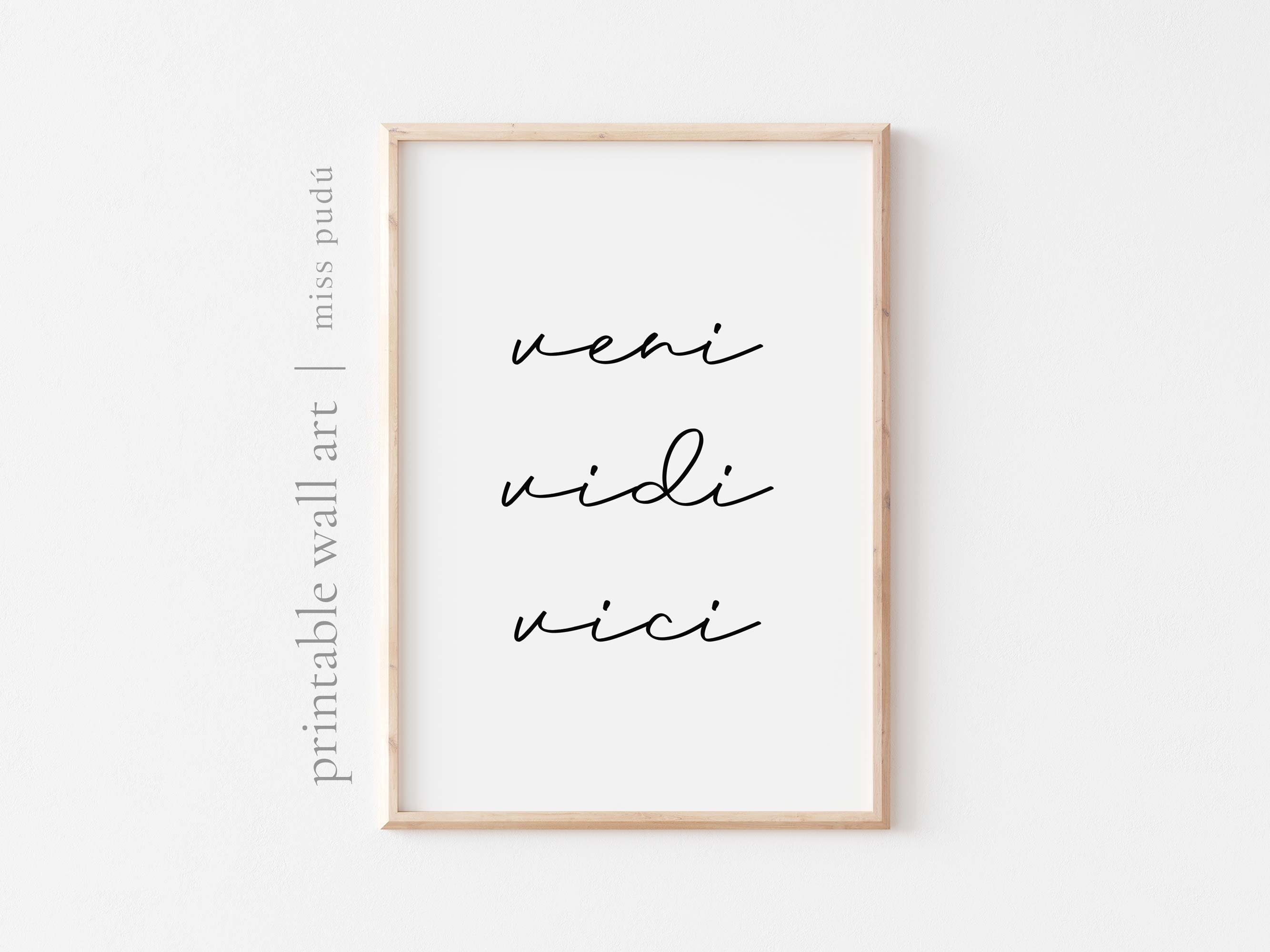 veni vidi vici quote | Art Print