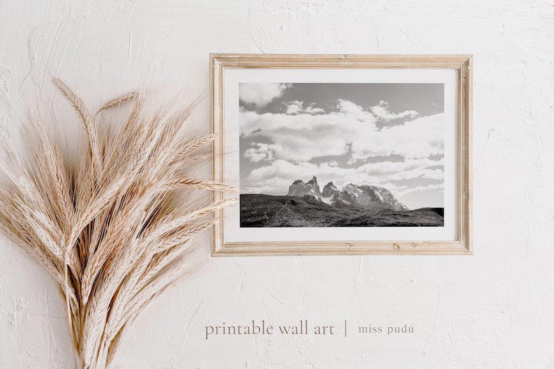 May include: Black and white photograph of a mountain range with a cloudy sky. The photo is framed in a light wood frame and is hanging on a white wall. The photo is accompanied by a bunch of dried wheat stalks.