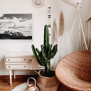 May include: A white wicker chair with a brown woven seat and back. A large green cactus plant in a brown wicker basket sits next to the chair. A white lamp with a white shade stands in the background. A black and white photo of a mountain range hangs on the wall behind the chair.