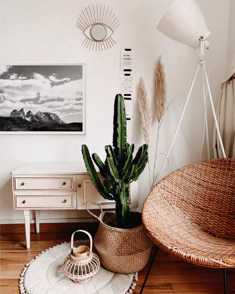 May include: A white wicker chair with a brown woven seat and back. A large green cactus plant in a brown wicker basket sits next to the chair. A white lamp with a white shade stands in the background. A black and white photo of a mountain range hangs on the wall behind the chair.