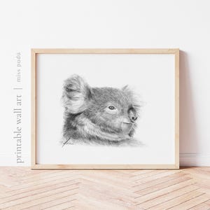 印刷可能なコアラの肖像画｜手描きのグラファイト動物画（デジタルダウンロード）。オーストラリア