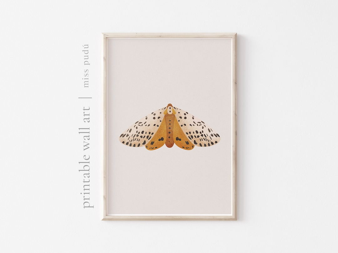 Printable Moth Wall Art (digital Download) | Nocturnal Insect ...
