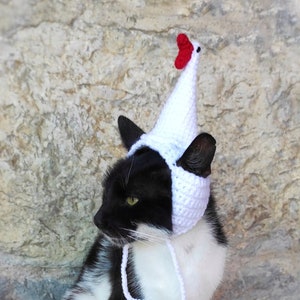 Goose Cat Hat, Crochet Goose Hat, Hat for Cats, Costume for Cats, Hats for Cats, Halloween Cat Costume, Cat Accessories