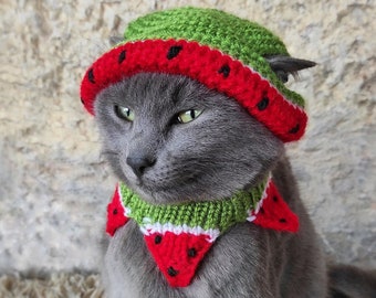 Watermelon Cat Hat, Watermelon Hat for Cat,Hat for Cats, Costume for Cats, Hats for Cats, Halloween Cat Costume, Cat Accessories