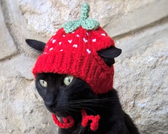 Strawberry Hat for Cat, Pet Costume, Pet Accessories, Strawberry Kitten Outfit, Gift for Pet Lover, Knitted Strawberry Hat for Cat