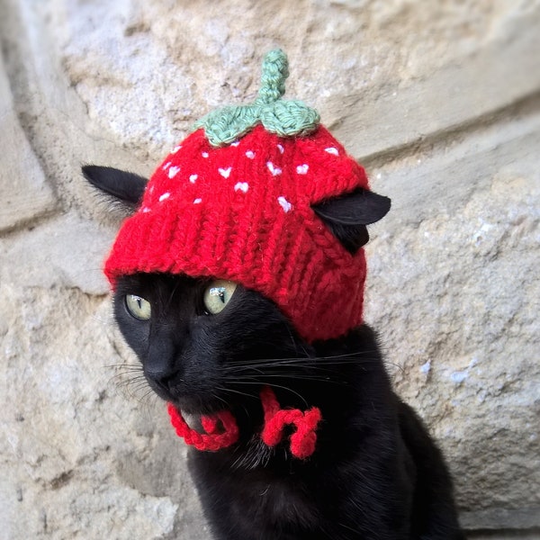 Erdbeer Hut für Katzen, Haustier Kostüm, Tier Zubehör, Erdbeer Kätzchen Outfit, Geschenk für Tierliebhaber, Gestrickter Erdbeer Hut für Katze