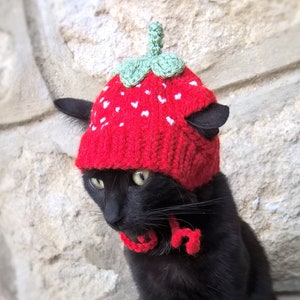 Chapeau De Chat De Soldat Pour Votre Chat Chapeau De Ranger Etsy