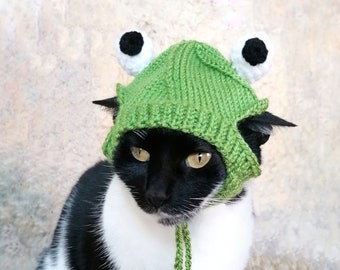 Frosch-Hut für Katze, Frosch-Haustier-Kostüm, Katzenzubehör, Kätzchen-Outfit,  Hüte für Katzen, Geschenk für Katzenliebhaber - .de