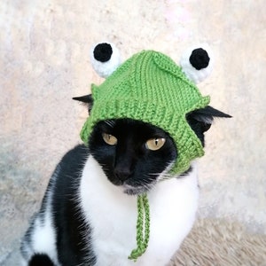 Frog Hat for Cat, Frog Pet Costume, Cat Accessories, Kitten Outfit, Hats for Cats, Gift for Cat Lover