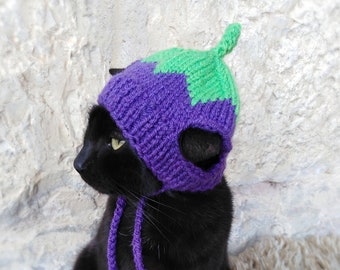 Eggplant Hat for Cat, Eggplant Pet Costume, Vegetable Kitten Outfit, Knitted Cat Accessories, Aubergine Cat Costume