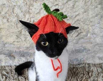 Pumpkin Hat for Cat, Pumpkin Pet Costume, Halloween Costume for Cat, Hats for Cats, Cat Accessories