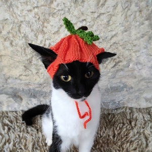 Pumpkin Hat for Cat, Pumpkin Pet Costume, Halloween Costume for Cat, Hats for Cats, Cat Accessories