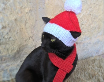 Christmas Pet Costume, Santa Hat for Pets, Holiday Cat Hat, Pet Christmas Costume, Gift for Cat Lover, Cat Santa Outfit, Crochet Santa scarf