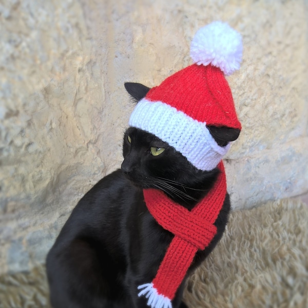 Christmas Pet Costume, Santa Hat for Pets, Holiday Cat Hat, Pet Christmas Costume, Gift for Cat Lover, Cat Santa Outfit, Crochet Santa scarf