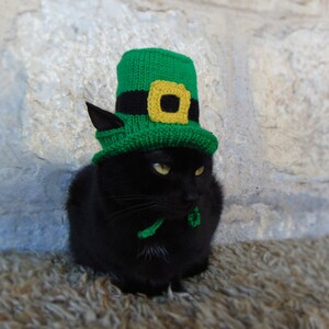 St. Patricks Day Hut für Katze, Kobold Haustier Kostüm, St. Patricks Day Zylinder für Kitty, Irischer Kätzchen Hut, Grüner Zylinder für Katzen Bild 3