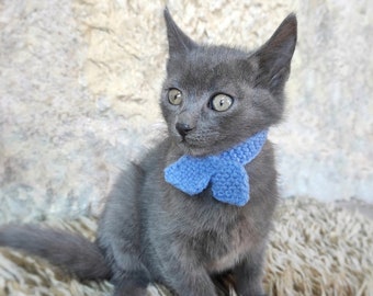Schal für Katze, Haustier Schal, Katzen Accessoires, Kätzchen Outfit, Geschenk für Katzenliebhaber, Katzenschal