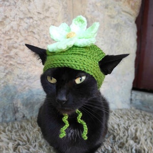 Cat lily clothes store