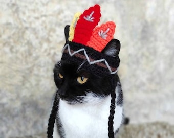 Indian Cat Hat, Indian Hat for Cat, Indian Hat for Cats, Costume for Cats, Hats for Cats, Halloween Cat Costume, Cat Accessories