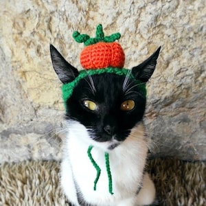 Pumpkin Hat for Cat, Pumpkin Pet Costume, Halloween Costume for Cat, Hats for Cats, Cat Accessories