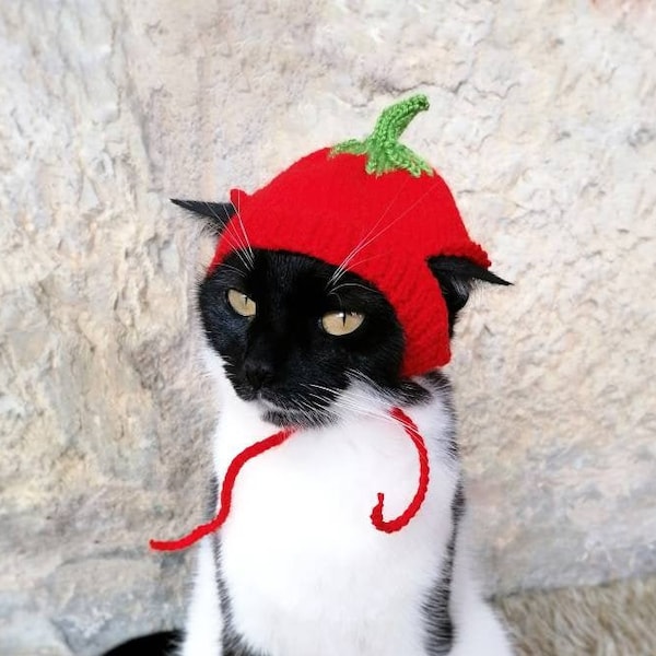 Chat tomate, Chapeau tomate pour chat, Chapeaux pour chats, Costume pour chats, Chapeaux pour chats, Chapeaux d’Halloween pour chats, Accessoires pour chats