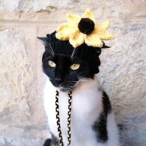 Sunflower Hat for Cat, Knitted Sunflower Pet Costume, Cat Outfit,Hatsbfor Cats Feline Accessory, Hat for Cat
